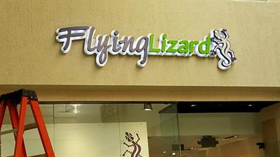 Flying Lizard Channel Letters Photo